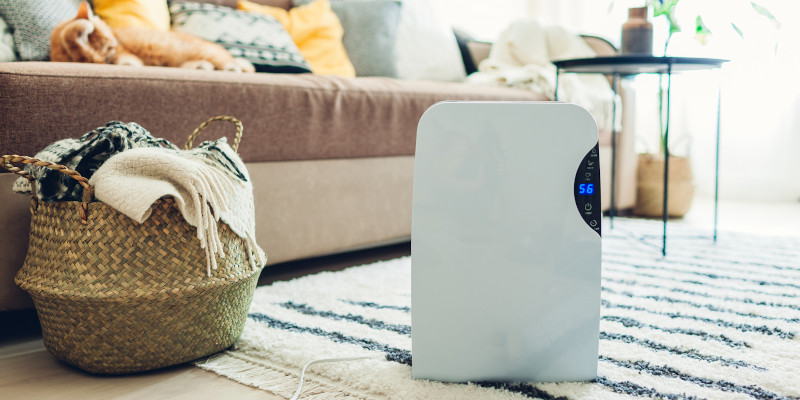 Three Benefits of Using a Dehumidifier in Your Home