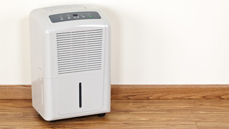 Whole-Home Air Purifiers in Morganton, North Carolina