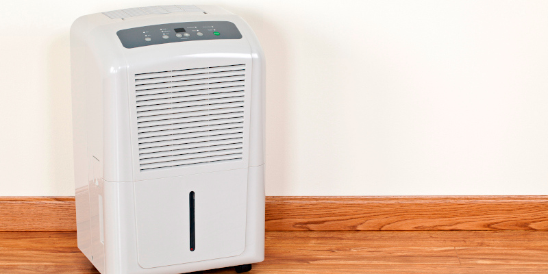 Whole-Home Air Purifiers in Taylorsville, North Carolina